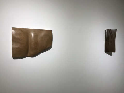 左:《不惑》 樱桃木 32×22.8×5.5cm 2018
右:《耳顺》 鸡翅木 28×12×10cm 2018
左:《不惑》 樱桃木 32×22.8×5.5cm 2018
右:《耳顺》 鸡翅木 28×12×10cm 2018
