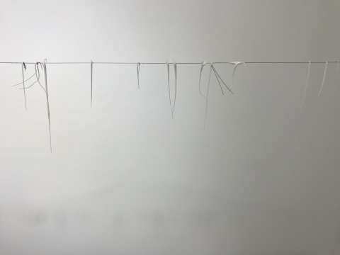 《即离》是王礼军用一根根头发丝连接在一个凹形空间相对的两面墙,再用白色的玻璃胶粘连于头发上, 细若游丝。
《即离》是王礼军用一根根头发丝连接在一个凹形空间相对的两面墙,再用白色的玻璃胶粘连于头发上, 细若游丝。