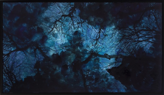 《水彩作品2017-10》 73x130x5cm.纸上水彩.LED灯箱 2017
《水彩作品2017-10》 73x130x5cm.纸上水彩.LED灯箱 2017