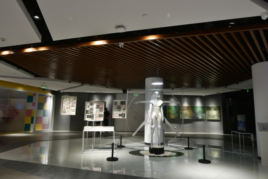 胡春甜作品 《HU'S BODY LAB——THE COCOON ARM》
胡春甜作品 《HU'S BODY LAB——THE COCOON ARM》