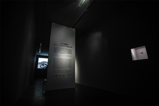 “新倾向:杨露子”UCCA展览现场
“新倾向:杨露子”UCCA展览现场