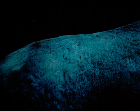 陈卓 《荒蛮故事No.7 马背山》 80x100cm 收藏级艺术微喷,哈内穆勒硫化钡 2016
陈卓 《荒蛮故事No.7 马背山》 80x100cm 收藏级艺术微喷,哈内穆勒硫化钡 2016