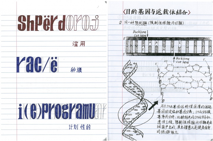 张玥×崔灿灿 一个奇怪的艺术家