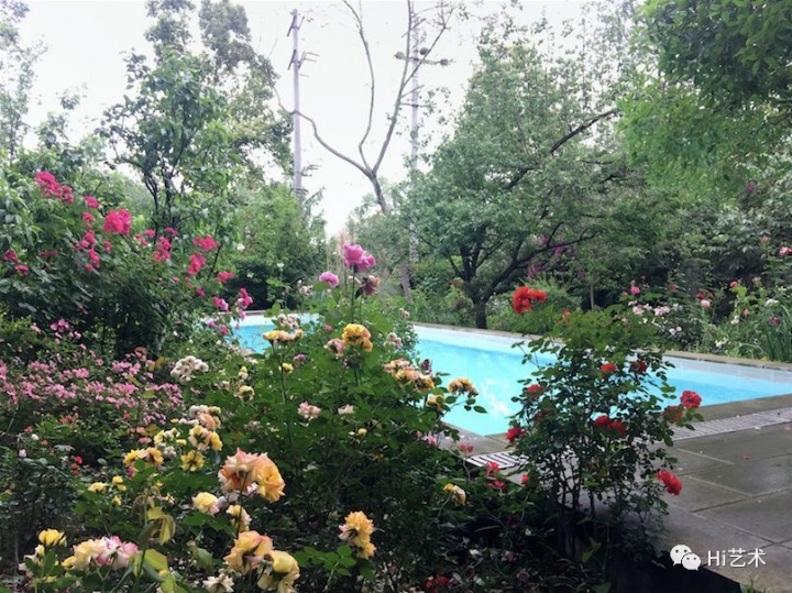 带泳池的花园
带泳池的花园