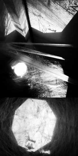 周蒙 《Silk Projection 1》 蚕丝装置 2016
周蒙 《Silk Projection 1》 蚕丝装置 2016