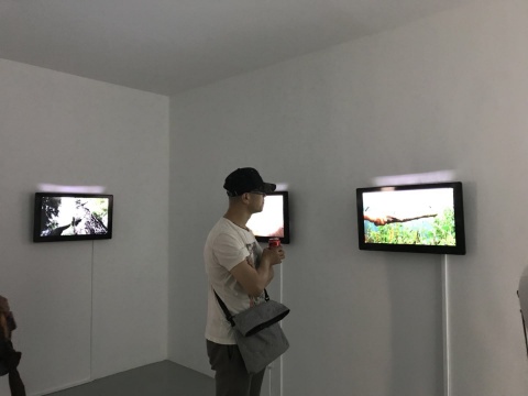 张震宇个展现场
张震宇个展现场