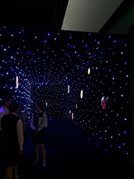 赵旭“漫步星际” 中国美术馆首个沉浸式体验个展 赵旭“漫步星际” 中国美术馆首个沉浸式体验个展