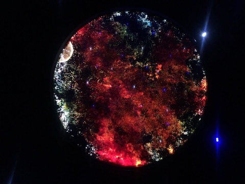 赵旭“漫步星际” 中国美术馆首个沉浸式体验个展 赵旭“漫步星际” 中国美术馆首个沉浸式体验个展