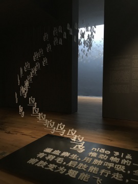 《鸟飞了》
《鸟飞了》