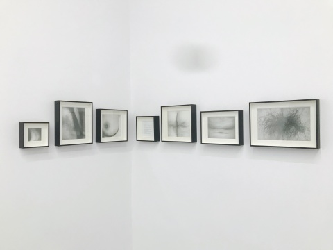 李欢毕业于中央美术学院版画系,这次展出这一系列作品都是关于身体的。很多都是局部的,如同被放大的单词。
李欢毕业于中央美术学院版画系,这次展出这一系列作品都是关于身体的。很多都是局部的,如同被放大的单词。