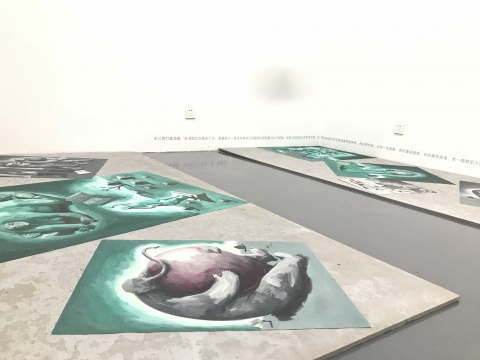 杨涛作品展览现场
杨涛作品展览现场