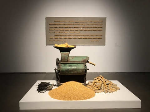 司建伟，《淘·离》，玉米脱粒机、玉米、亚克力，尺寸可变，2014
