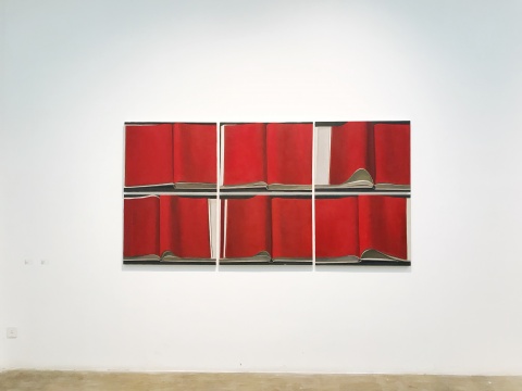 《红书》 80cm×60cm×6 布面油画 2017
《红书》 80cm×60cm×6 布面油画 2017