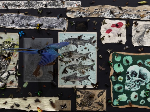 
孙逊 《天际谶语》局部&nbsp;绘画 , 黑板 , 标本 , 铜板 , 地图 , 木刻版画 , 字典 162x260x10cm | 鸟 80x105x70cm 2016
© 孙逊和香格纳画廊 摄影:雷坛坛

© 林冠艺术基金会&nbsp;

