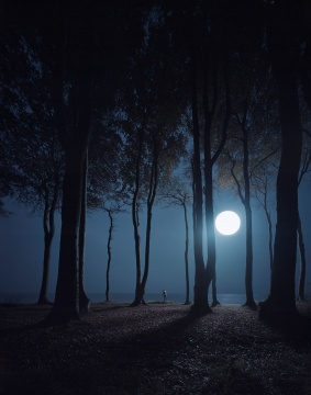 安德里亚斯·穆埃 《幽灵森林》 226.4×181.4×5.5cm 激光冲印 2015
