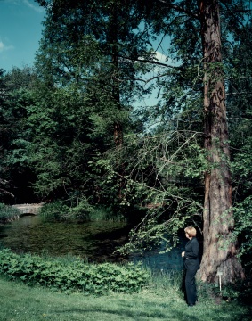 安德里亚斯·穆埃 《在树下》 159.3×129.7×4.5cm 激光冲印 2008
