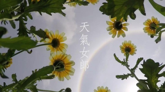 劳丽丽,《天气女郎—Halo Daisy》,单频道录像,彩色、粤语、英文字幕,6分33秒,2016,图片由艺术家提供
劳丽丽,《天气女郎—Halo Daisy》,单频道录像,彩色、粤语、英文字幕,6分33秒,2016,图片由艺术家提供