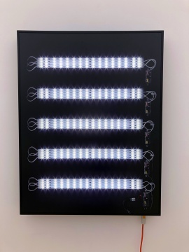 曾家伟，《内部结构5》，LED灯箱、灯片 90×69.7×8cm，2017
