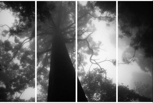 秋麦 《影幔 #8B》 , 2010，摄影墨本、三桠皮纸，130 x 206 cm 
