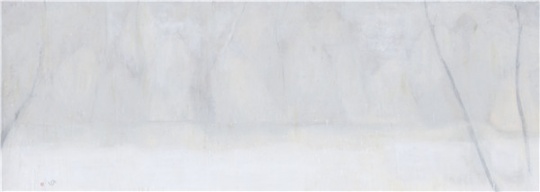 《自去来之一》249.5x89cm 水墨宣纸 2017 《自去来之一》249.5x89cm 水墨宣纸 2017