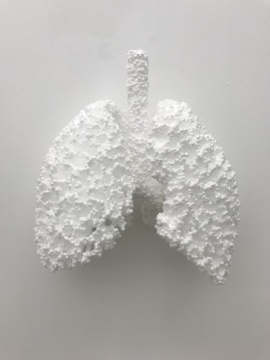 “肺”
