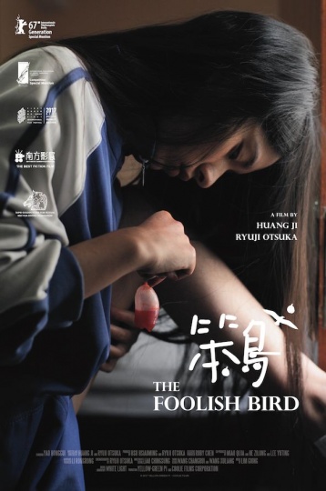 黄骥《笨鸟》，2017年，图片由北京库里影视制作有限公司提供
