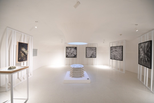 杨沛铿 《园中茛苕》系列作品展览现场
杨沛铿 《园中茛苕》系列作品展览现场
