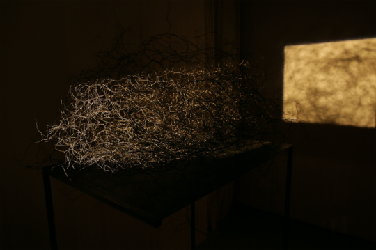 《拓影》92x77x39cm 黑色金属丝,灯光装置 2018
《拓影》92x77x39cm 黑色金属丝,灯光装置 2018