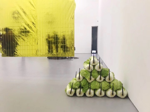 单屏录像《修剪时间》后、装置《物联网》前
单屏录像《修剪时间》后、装置《物联网》前