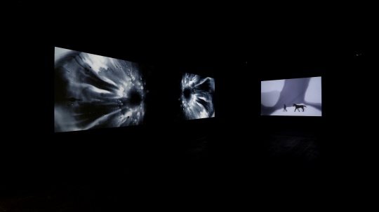 展览现场
展览现场