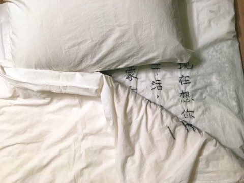 陈秋林《一天》床单230×160cm,被套200×150cm,枕头74×48cm 装置(棉布、头发)2014-2016
陈秋林《一天》床单230×160cm,被套200×150cm,枕头74×48cm 装置(棉布、头发)2014-2016