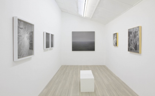 在Tong Gallery+Projects 看刘夏和许良笔下的光影与像素 在Tong Gallery+Projects 看刘夏和许良笔下的光影与像素