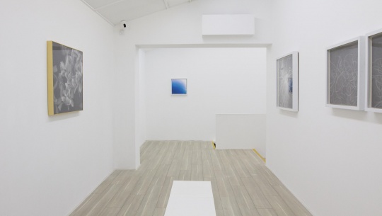 在Tong Gallery+Projects 看刘夏和许良笔下的光影与像素 在Tong Gallery+Projects 看刘夏和许良笔下的光影与像素