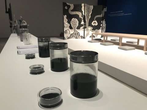 2018台北双年展,“后自然”之下对美术馆体制的批判? 2018台北双年展,“后自然”之下对美术馆体制的批判?