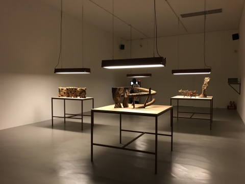 2018台北双年展,“后自然”之下对美术馆体制的批判? 2018台北双年展,“后自然”之下对美术馆体制的批判?
