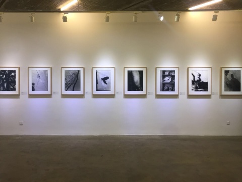展览现场
展览现场