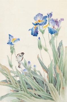 《紫鸢》 62cm×42cm 1990年 绢本设色
《紫鸢》 62cm×42cm 1990年 绢本设色
