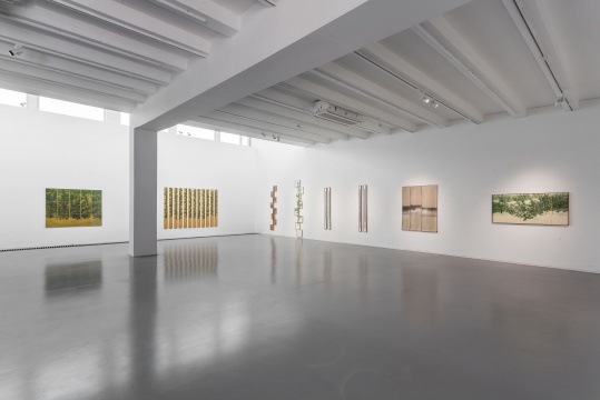 管伟邦“神游”展览现场
管伟邦“神游”展览现场