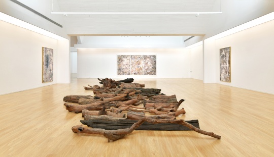 陈彧君 思维宫殿的具象化 不同纬度万物有灵