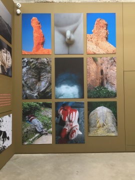 与生有关
与生有关