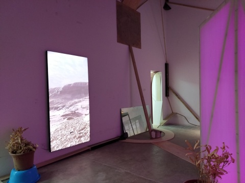 “追踪末日松茸”泰康空间展览现场
“追踪末日松茸”泰康空间展览现场