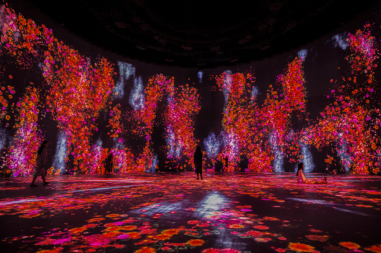 teamLab《花与人，不为所控却能共生, 消除作品的边界－ 度时如年》Flowers and People, Cannot be Controlled but Live Together, Transcending Boundaries - A Whole Year per Hour&nbsp;2017年&nbsp;Interactive Digital Installation, Sound: Hideaki Takahashi© teamLab&nbsp;图片由teamLab提供

