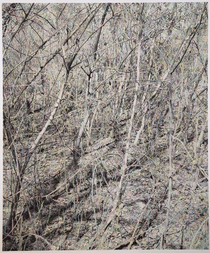 《密林》163×138cm 摄影绘画 2018 图片由艺术家和魔金石空间提供
《密林》163×138cm 摄影绘画 2018 图片由艺术家和魔金石空间提供