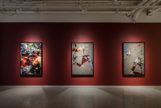 《图像志#根据鲁本斯 猎虎》180×120cm(每张) 系列数字微喷 2014
《图像志#根据鲁本斯 猎虎》180×120cm(每张) 系列数字微喷 2014