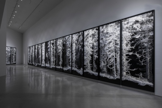 《遗存》360×140cm(每张) 系列数字微喷多张联画 2018
《遗存》360×140cm(每张) 系列数字微喷多张联画 2018