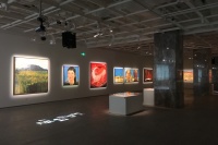 把“画室”放在远方，王雷的四年丝绸之路行记