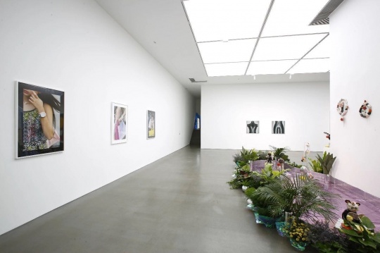 一楼展厅展出了米歇尔·埃伯利斯、潘望舒、孙一钿、阿玛利娅·乌尔曼的作品
