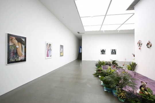 一楼展厅展出了米歇尔·埃伯利斯、潘望舒、孙一钿、阿玛利娅·乌尔曼的作品
一楼展厅展出了米歇尔·埃伯利斯、潘望舒、孙一钿、阿玛利娅·乌尔曼的作品
