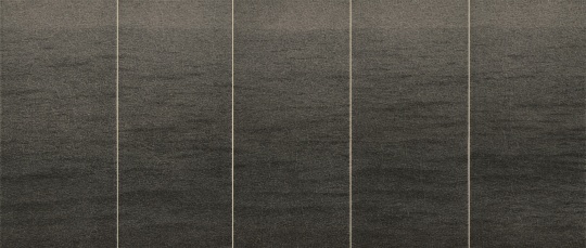 张诠 《水》 400×950cm  纸本水墨  2009
