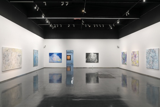 赵大钧首次京城个展 鲁美人纯净而刚正的精神场 赵大钧首次京城个展 鲁美人纯净而刚正的精神场